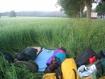 Rugiuose prie plento: kiti ilsėjosi rugių lauke, kol Martynas buvo vežamas į Lietuvą