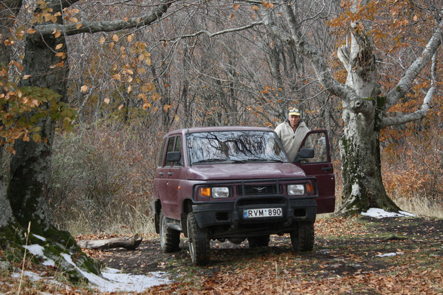 DDT "Shto takoje osenj"