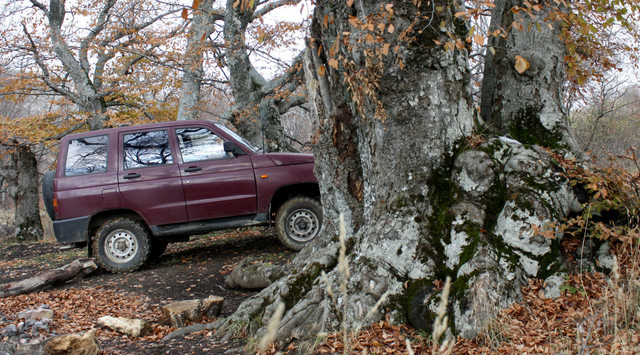 DDT "Shto takoje osenj"