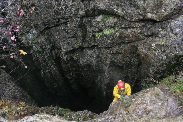 Saulė išlipinėja iš Kruberio