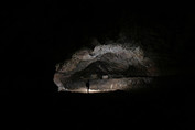 IMG_5632.jpg