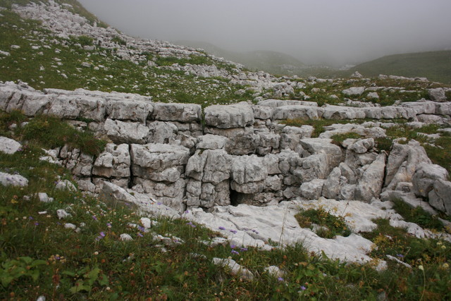 Kasdieniškas vaizdelis